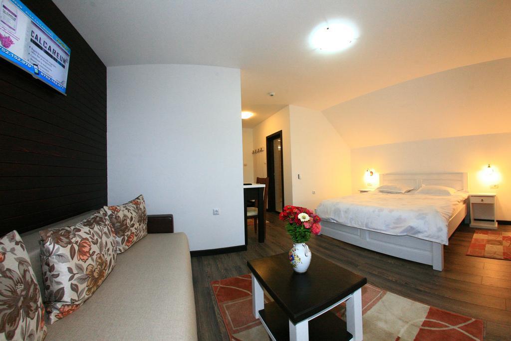 Pensiunea Casa Elvira Vama  Extérieur photo